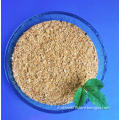 /msite/products/detail/productid/57012146/id/666362.html